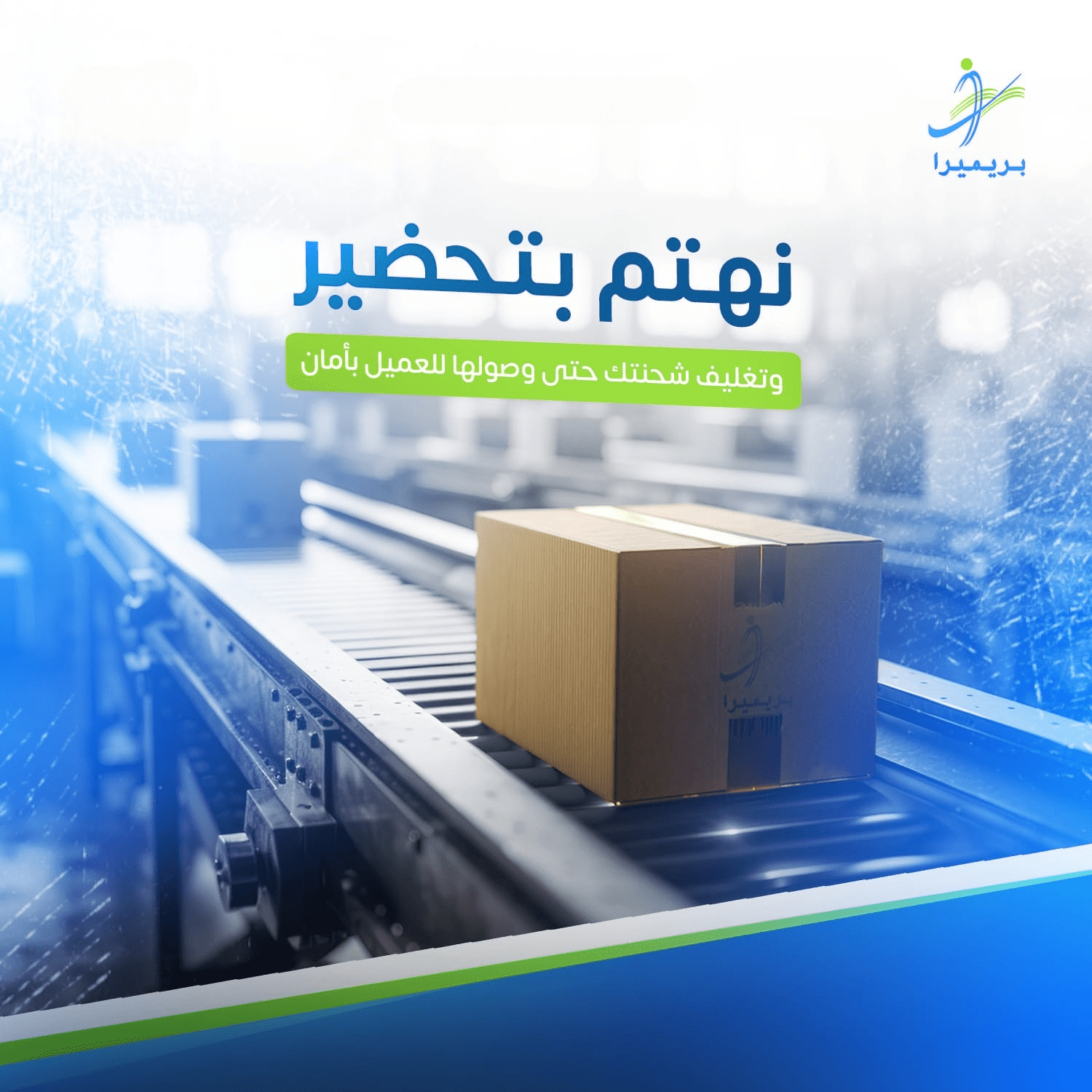 Professional Packaging Services